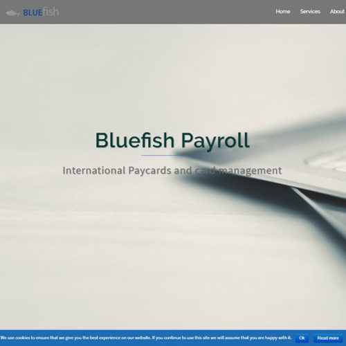 Bluefishpayroll