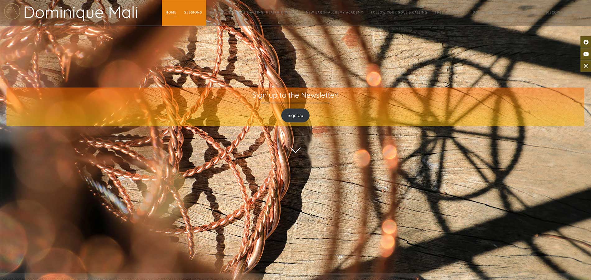 Dominique Mali website